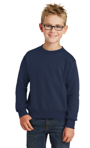Youth Crewneck Sweatshirt College Style Logo