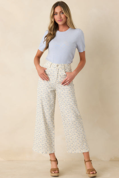 Always A Favorite Sky Blue Short Sleeve Knit Top