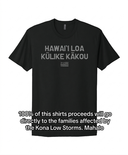 Hawaii Stands Together T-Shirt in Black
