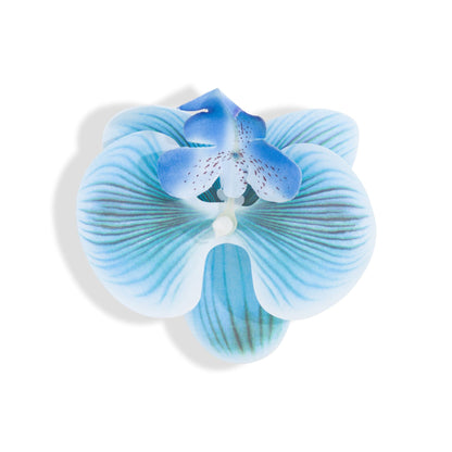 Orchid Flower Blue