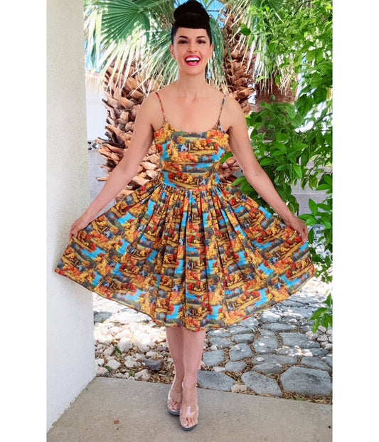 Bernie Dexter Scenic Print Chelsea Swing Dress