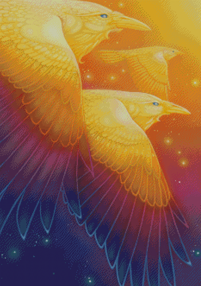 Fly Through Rainbow