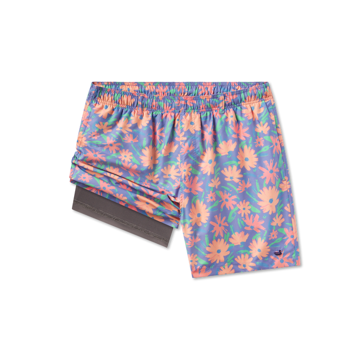 Mountain Purple Daisies | Liner