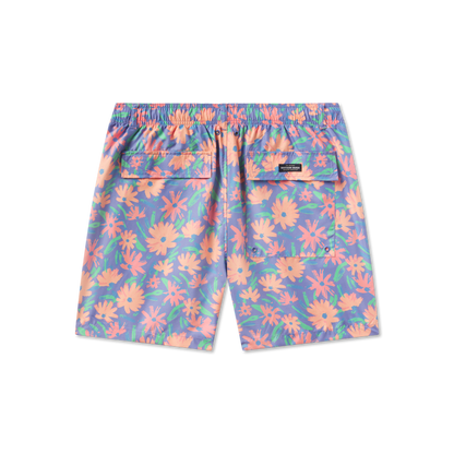 Mountain Purple Daisies | Back