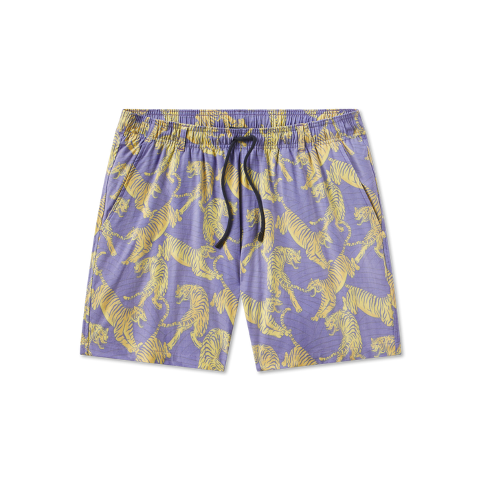 Purple & Yellow Tiger