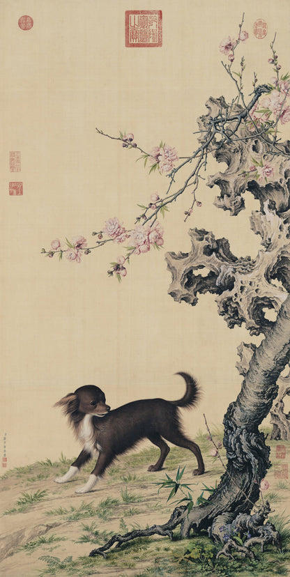 Long-haired Dog Beneath Blossoms | Giuseppe Castiglione