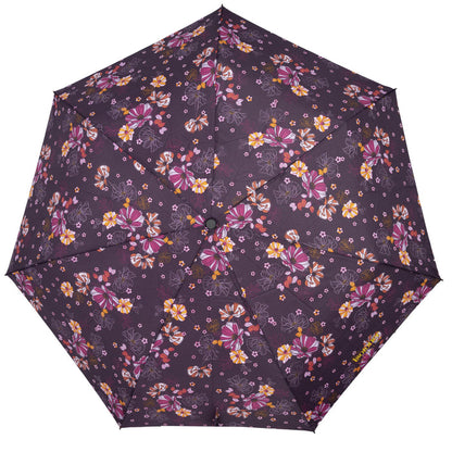 #coloris_fleurs aubergine