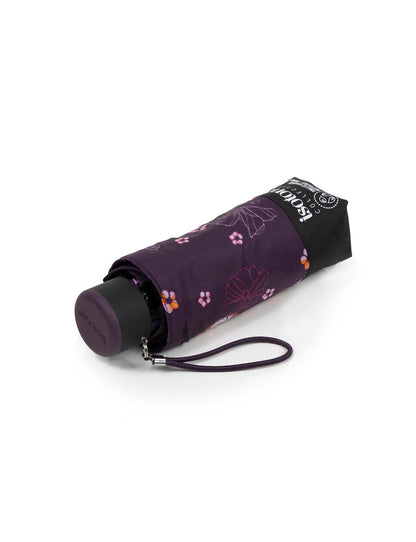 #coloris_fleurs aubergine--mkp