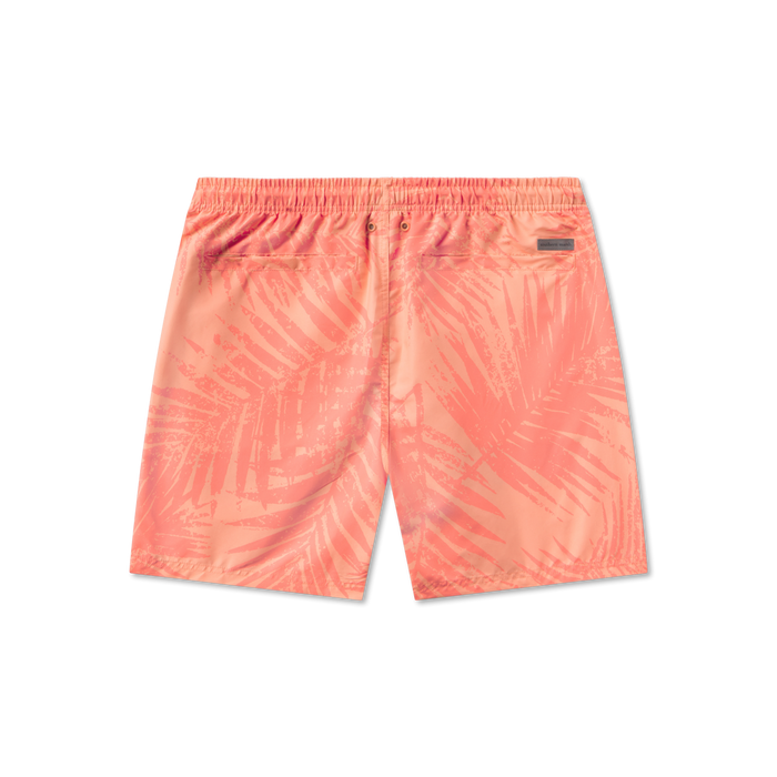 Coral | Back