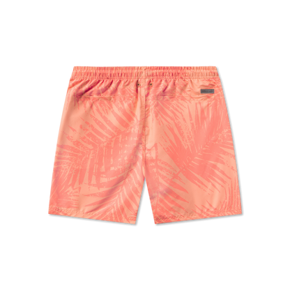 Coral | Back