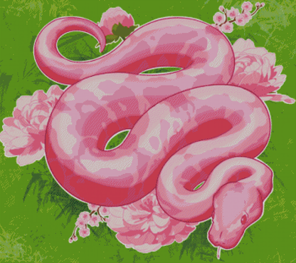 Pinky