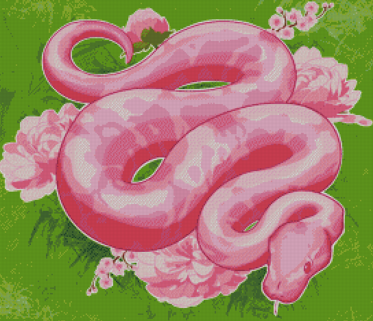 Pinky