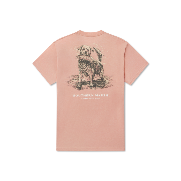 Salmon