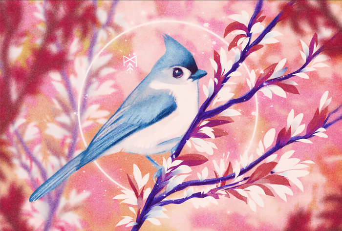 Spring Birdsong