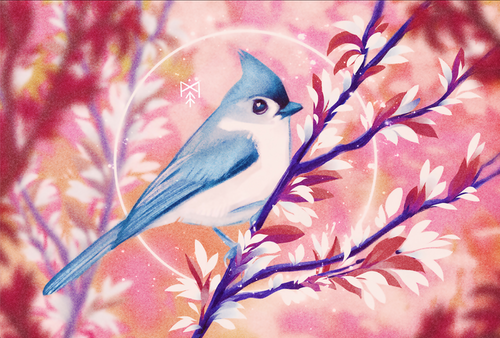 Spring Birdsong