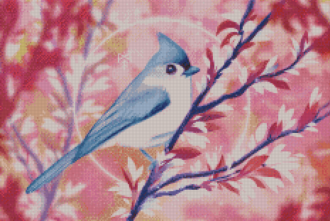 Spring Birdsong