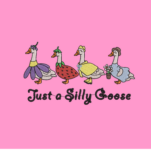 Spring Silly Goose T-Shirt