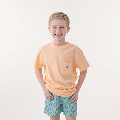 Sherbet | On Model Front